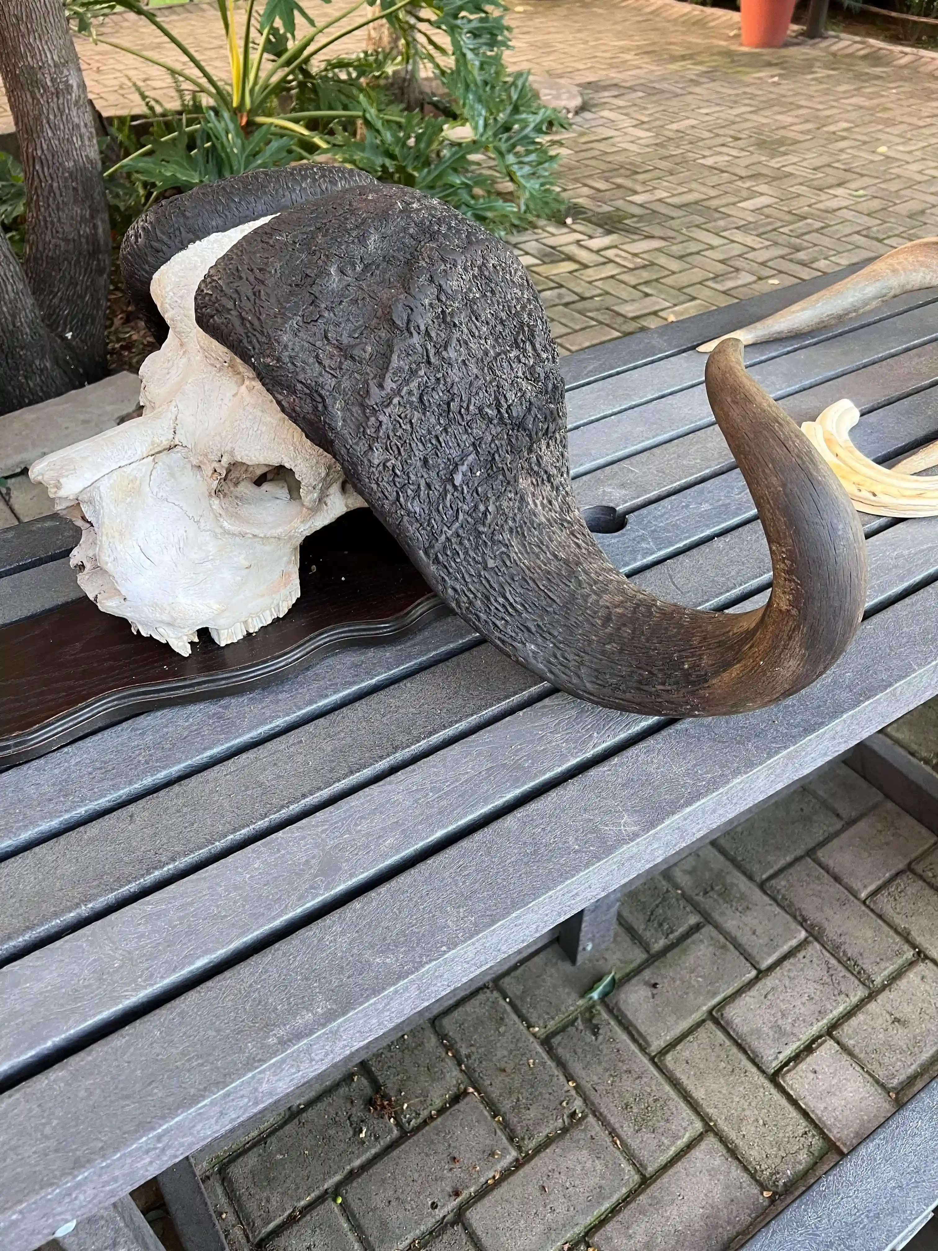 Curso de Cazador Profesional - Imagen 16